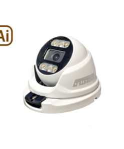 دوربین 8 مگاپیکسل دام AR-P1784D-WL